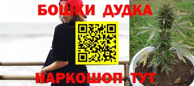 спиды Гатчина