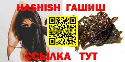 спиды Гатчина