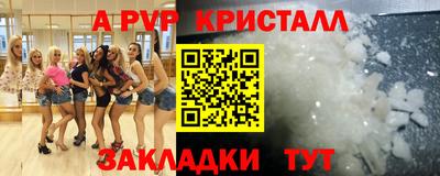 спиды Гатчина